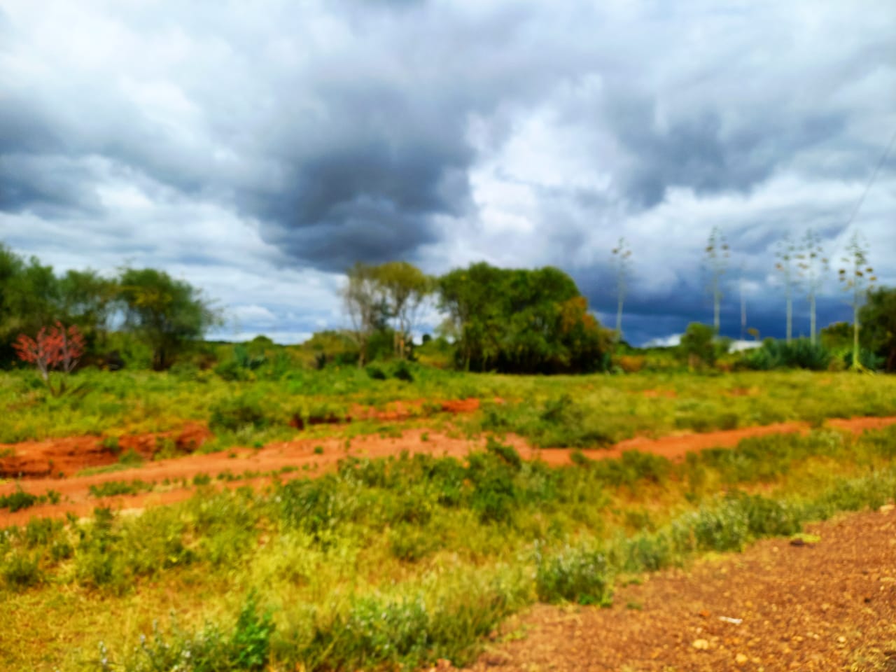Land Project 1 Image 3